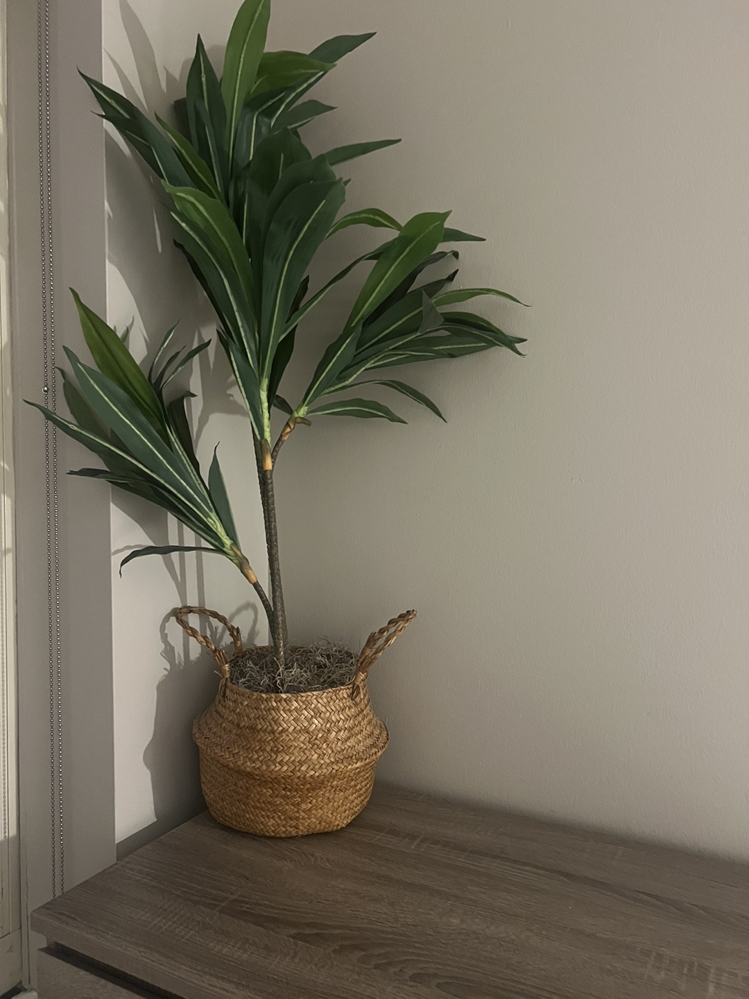 Artificial plant in woven basket