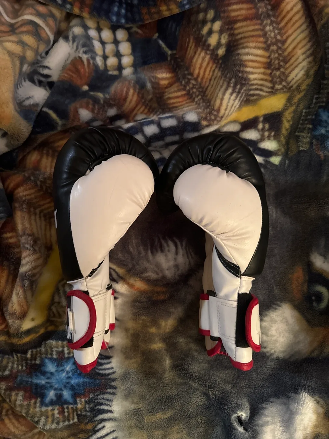 Petra Fighter Boxing Gloves image indicator(3)