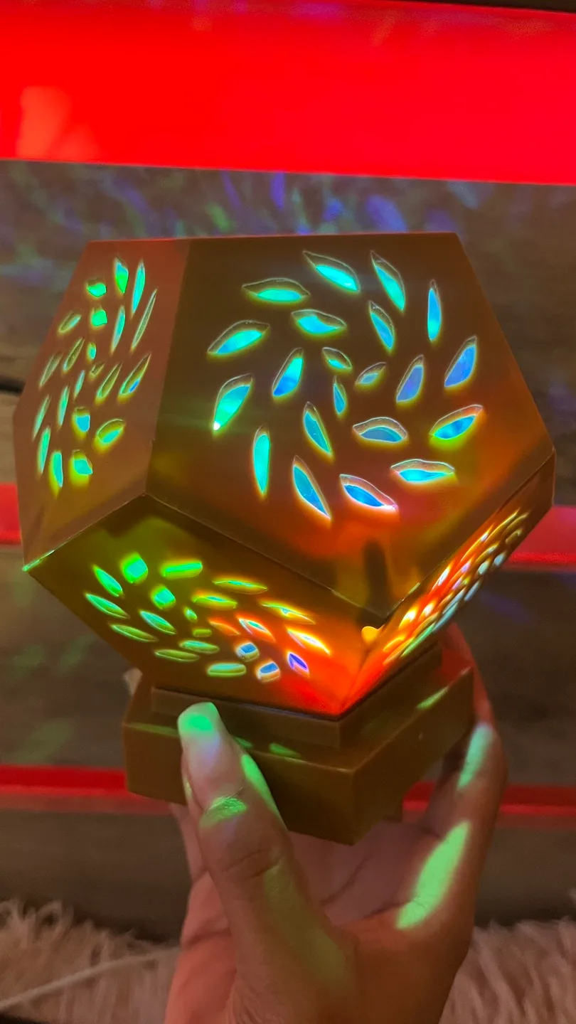 Room2Room LED Projector Light thumbnail
