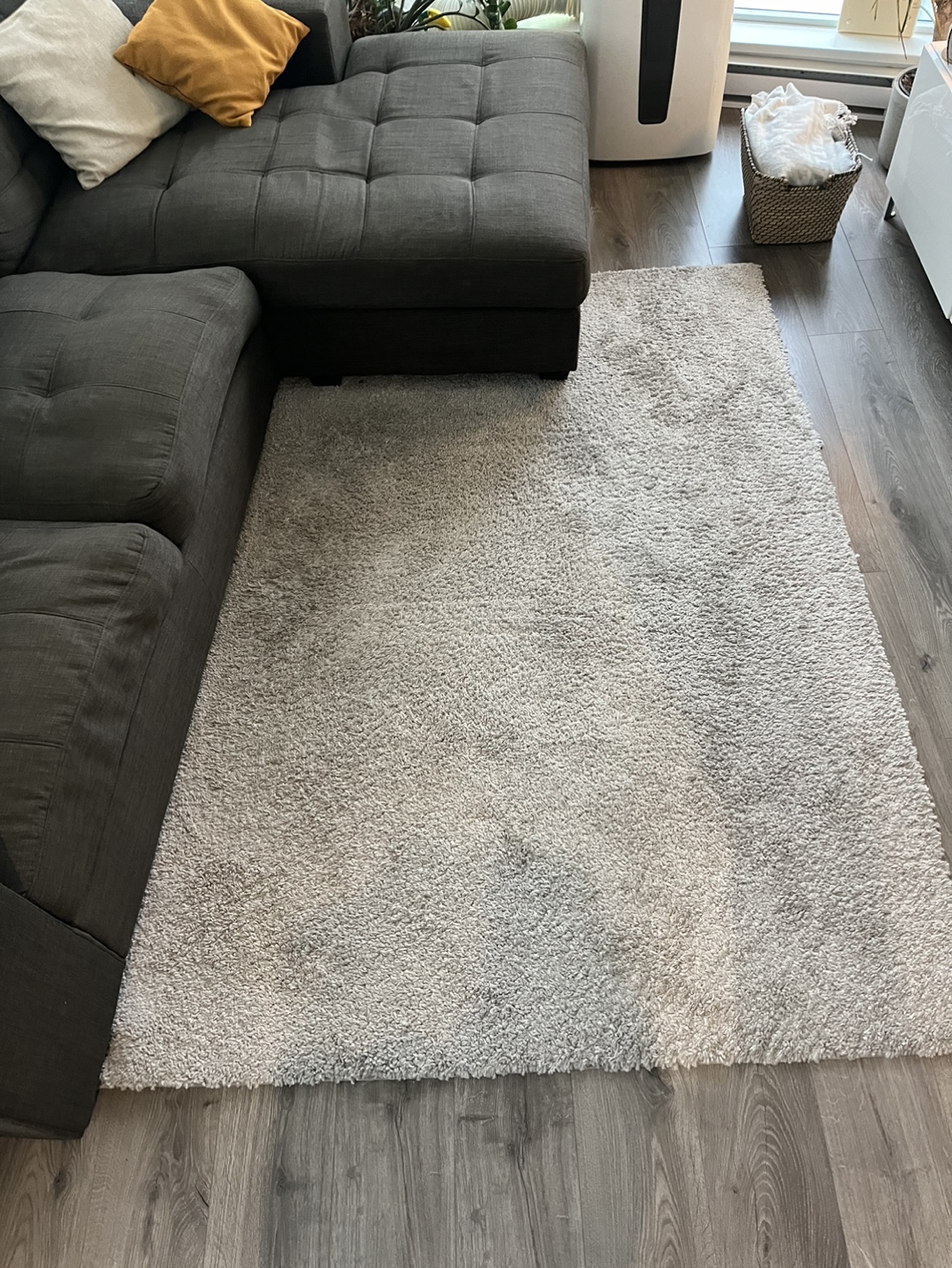 Large Grey Shag Rug