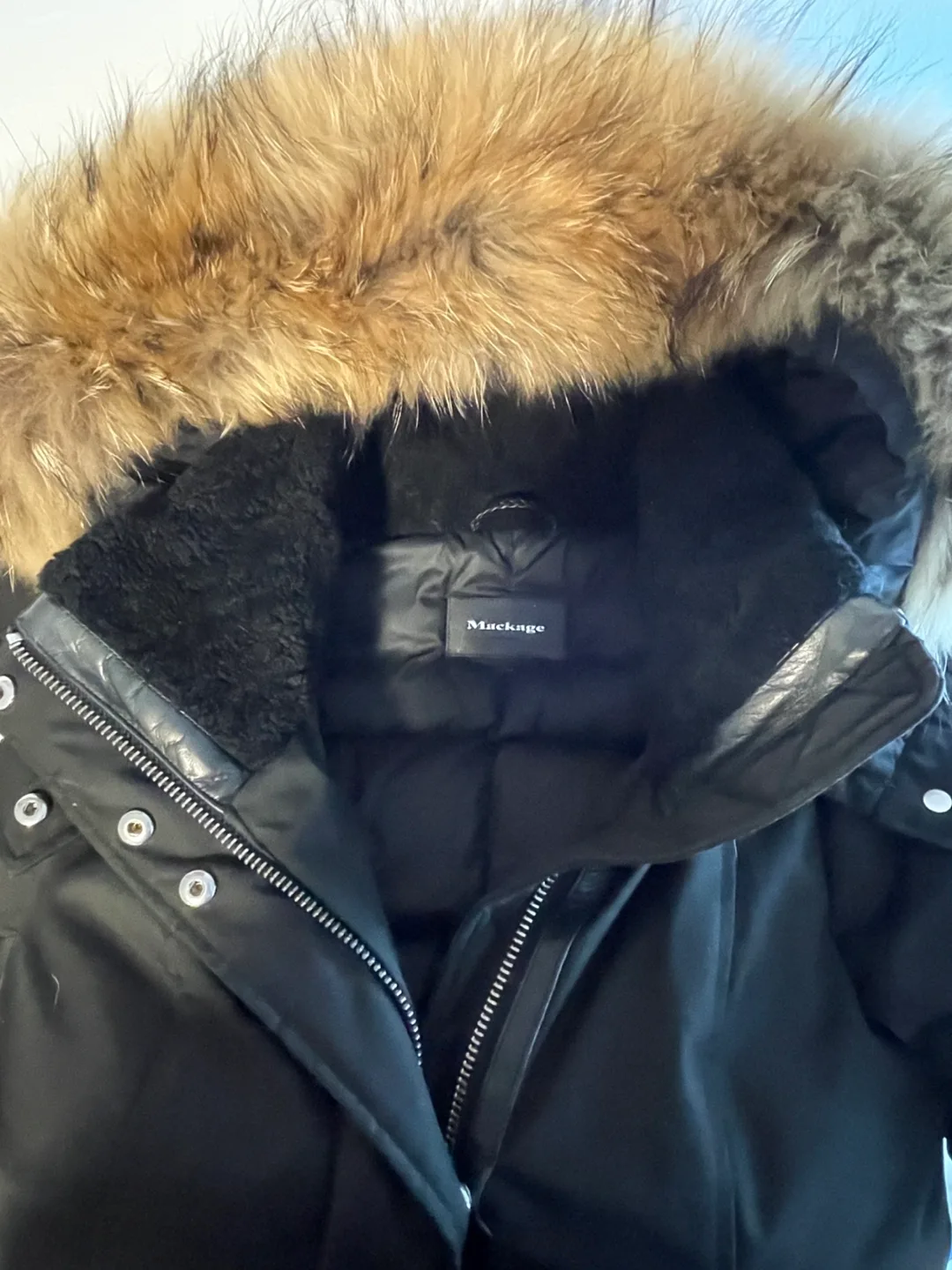 Final Price Drop ‼️Mackage Winter Coat ($1390 Value) image indicator(10)