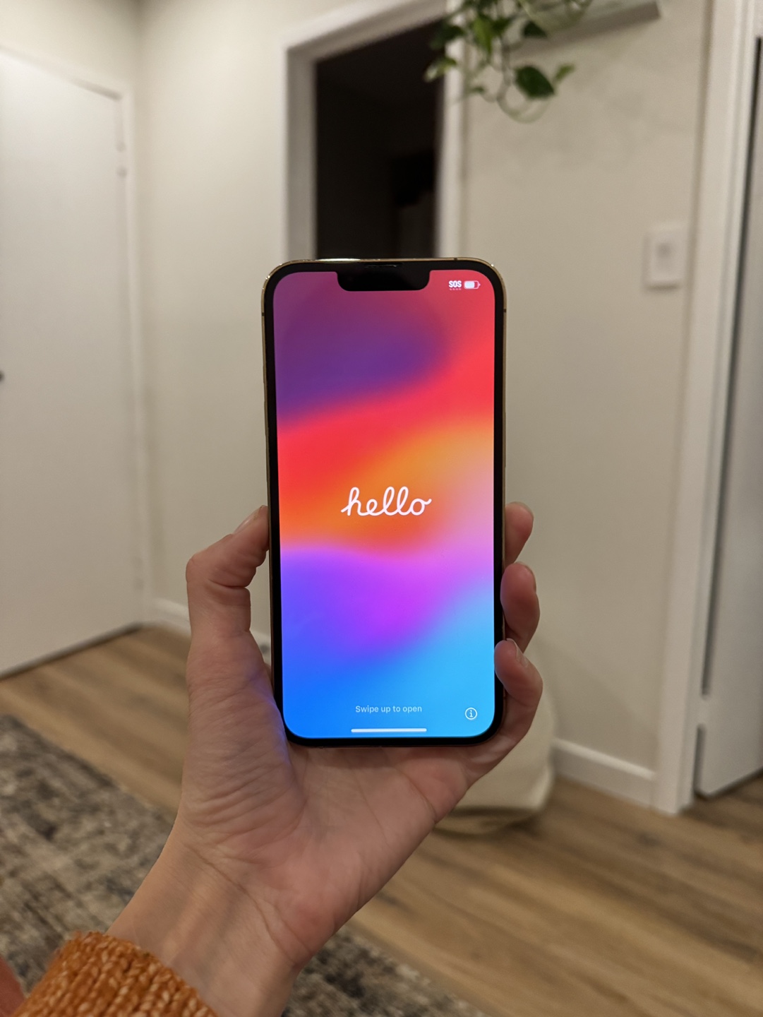 iPhone 13 Pro - Gold - 1 TB