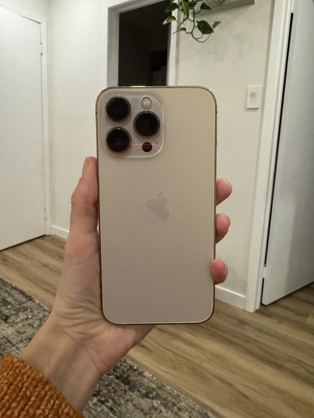 iPhone 13 Pro - Gold - 1 TB - photo 2