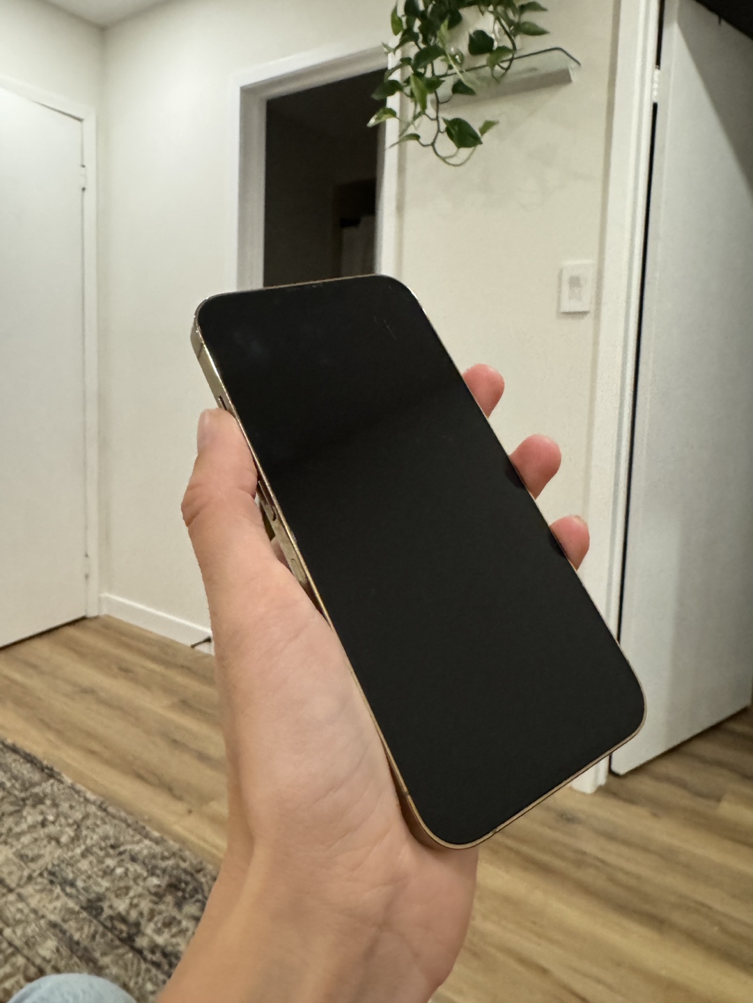 iPhone 13 Pro - Gold - 1 TB - photo 5