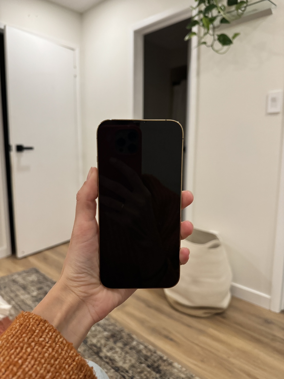 iPhone 13 Pro - Gold - 1 TB - photo 4