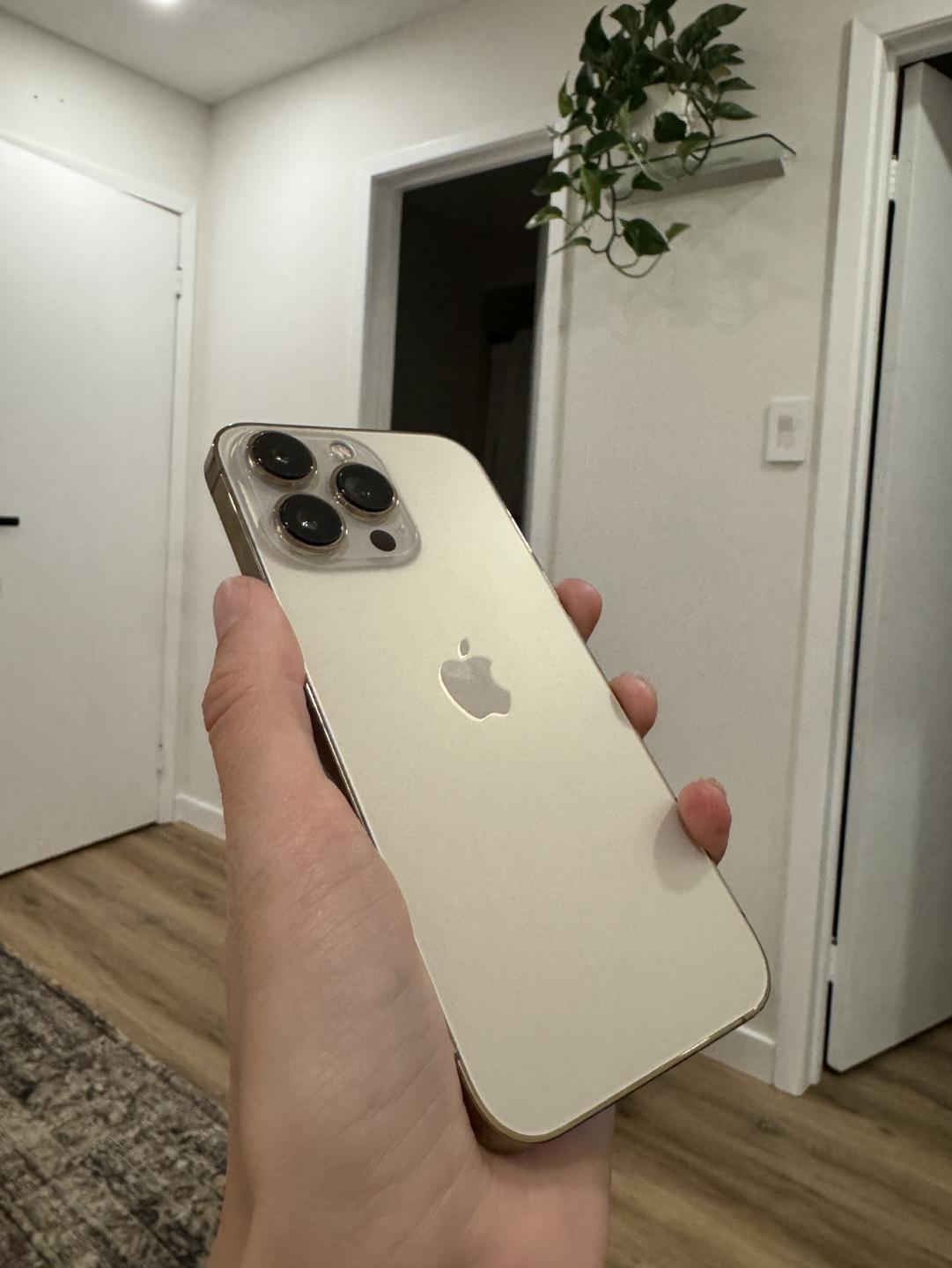 iPhone 13 Pro - Gold - 1 TB - photo 3