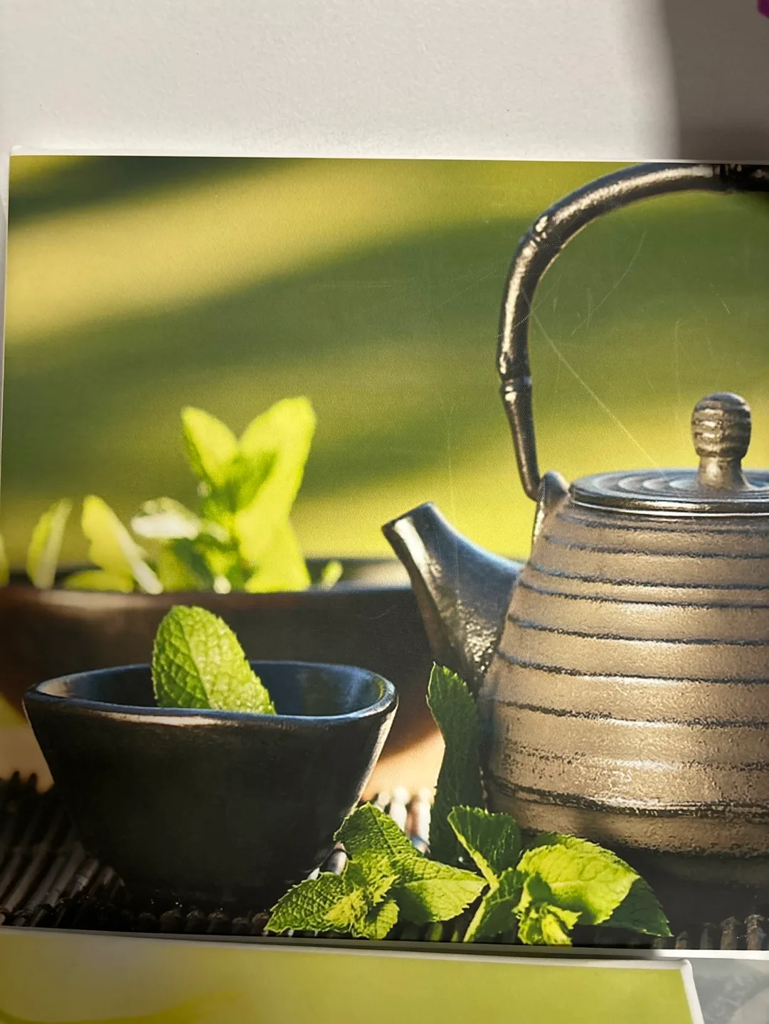 Set of 4 Zen/Spa Themed Canvas Wall Art Prints image indicator(3)