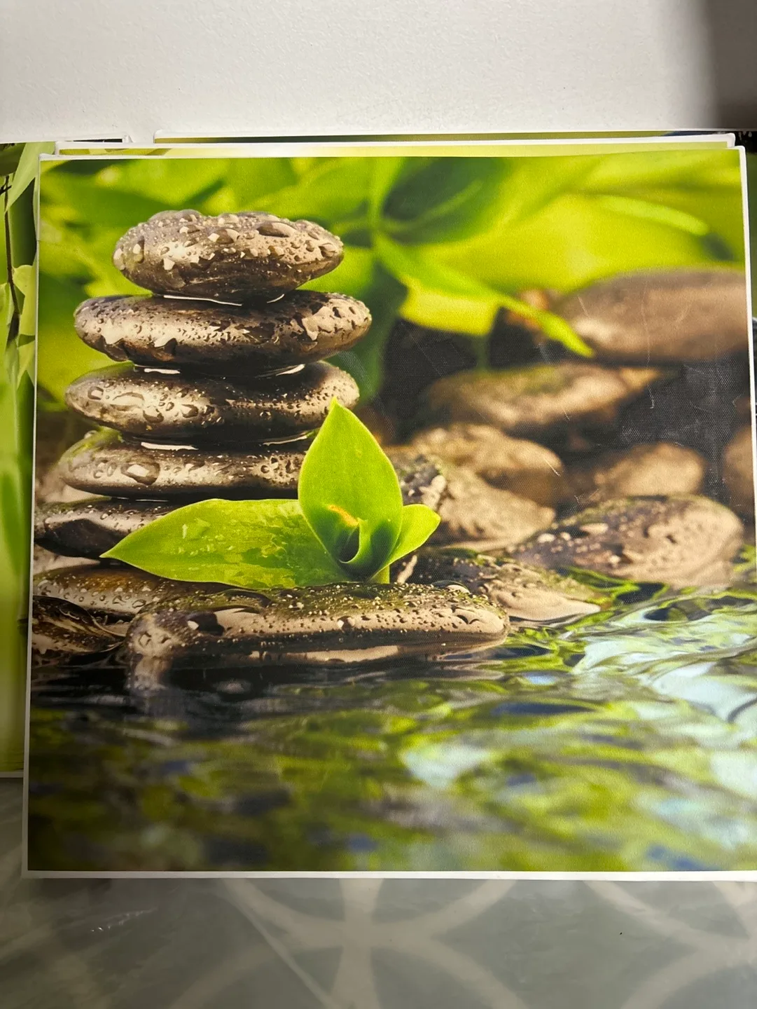 Set of 4 Zen/Spa Themed Canvas Wall Art Prints image indicator(5)