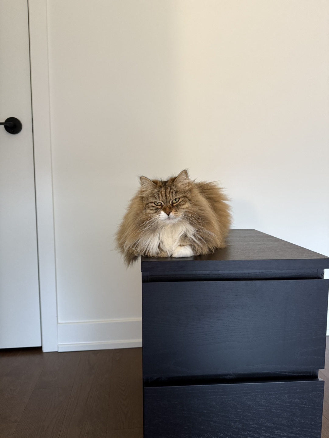 Two IKEA MALM Nightstands - photo 2