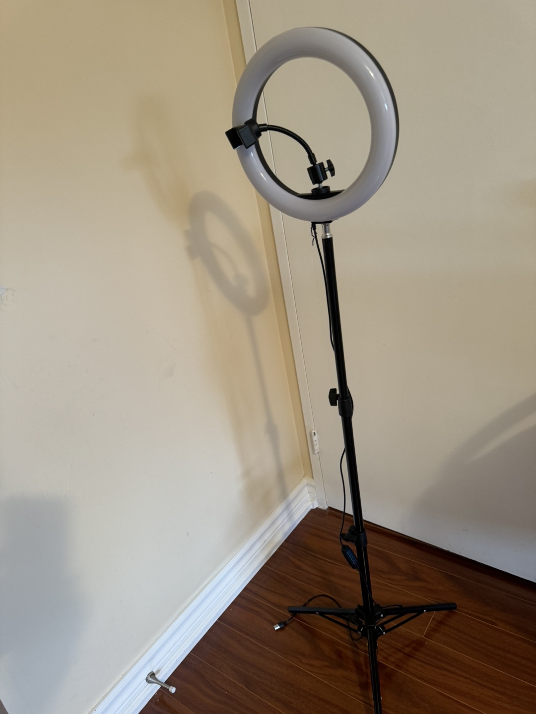 Ring Light with Stand and Phone Holder