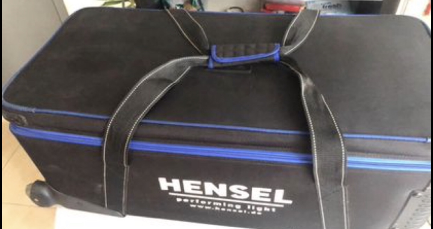 Hensel Integra pro 500 2 light kit with stands and case - photo 2
