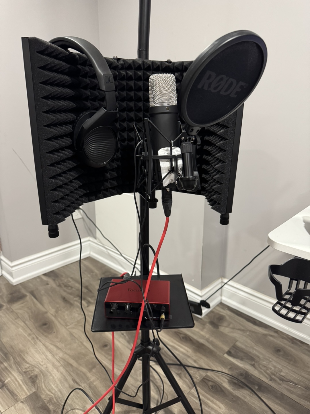 Professional Rode Studio