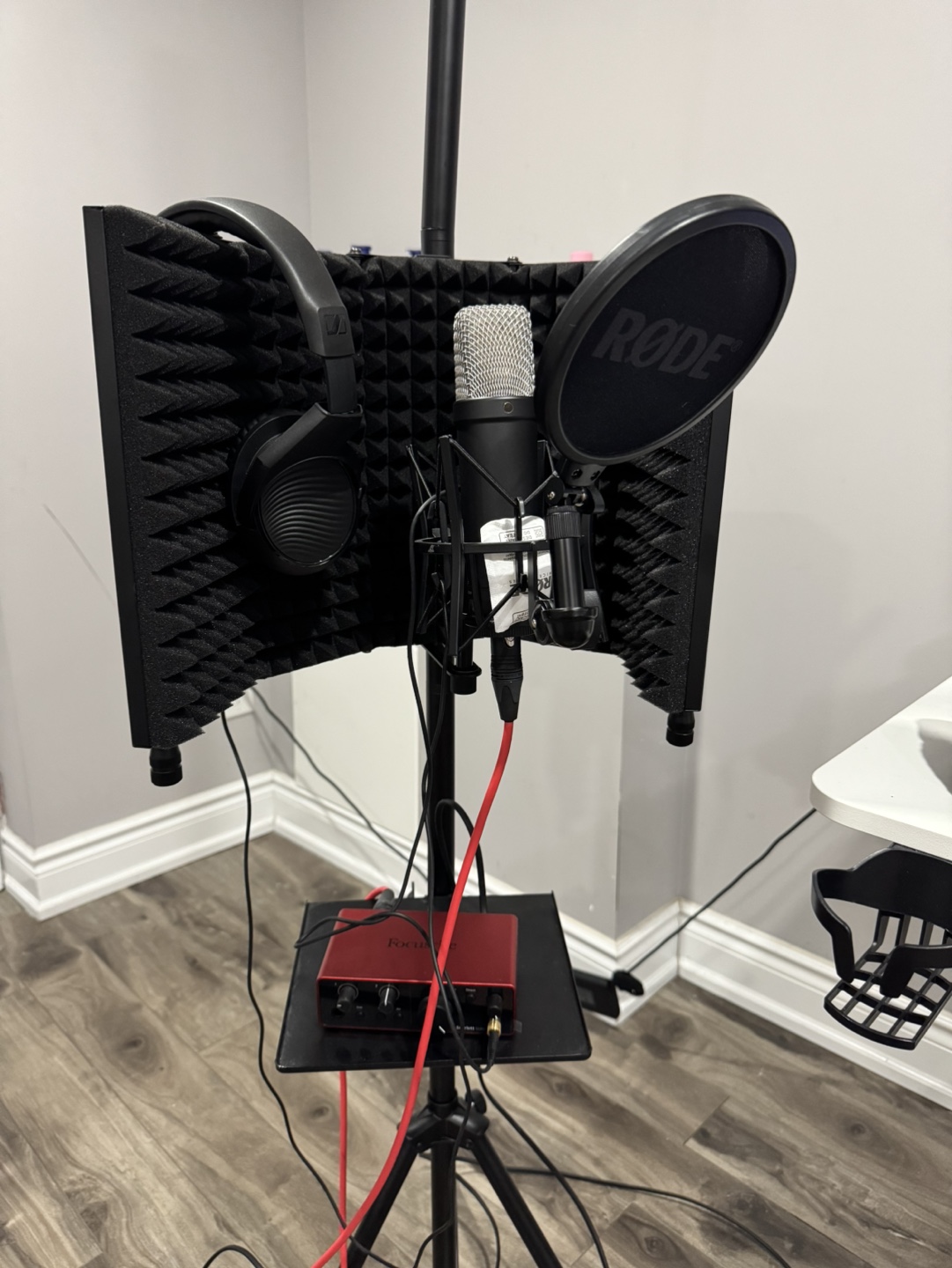 Professional Rode Studio - photo 2