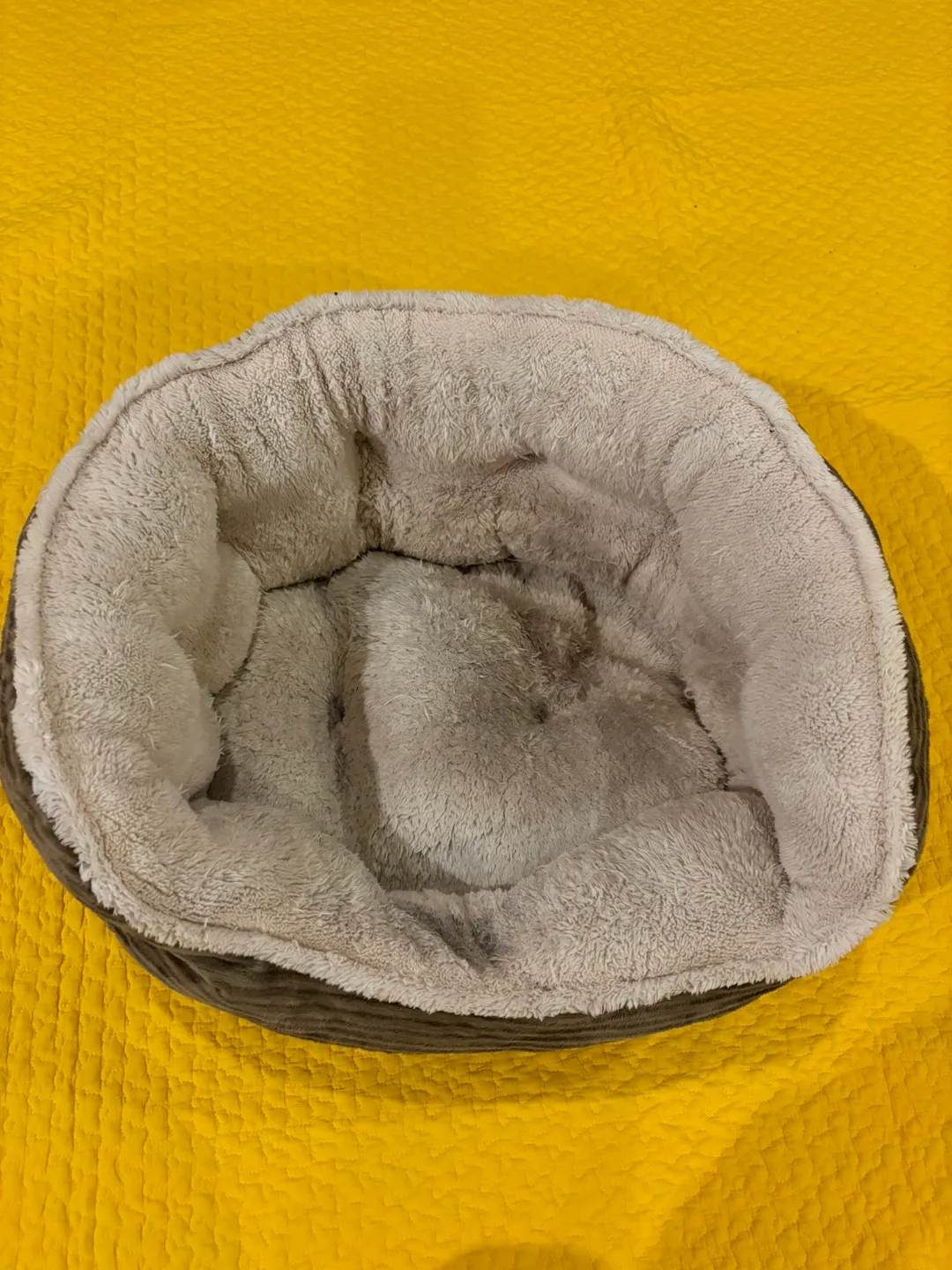 Khaki and White Dog Bed image indicator(5)