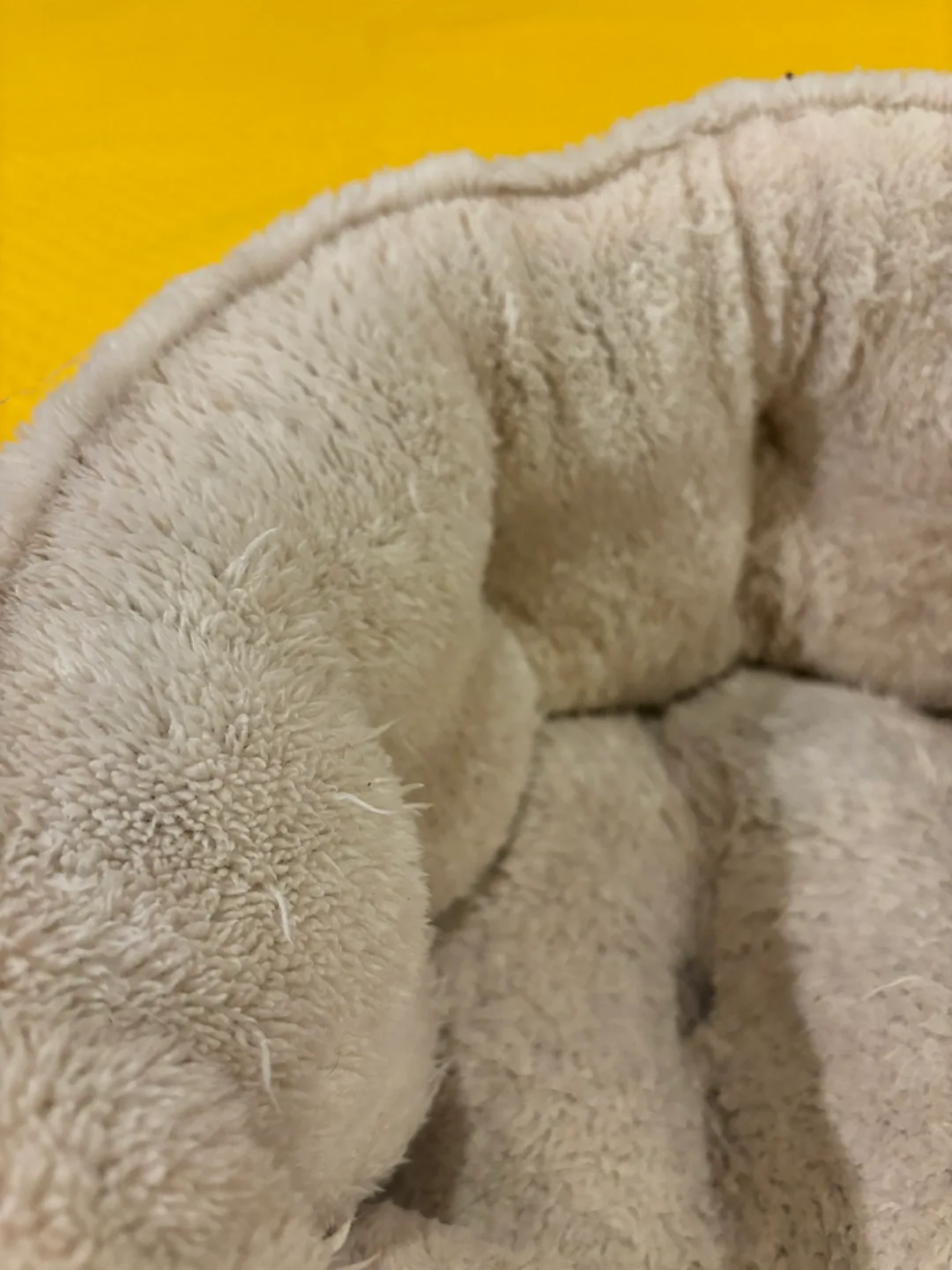 Khaki and White Dog Bed image indicator(6)