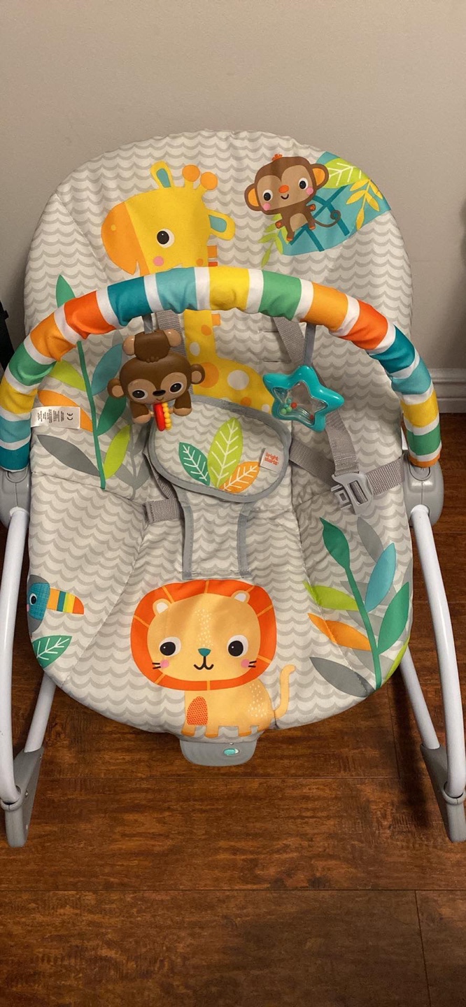 Bright Starts  Baby Swing