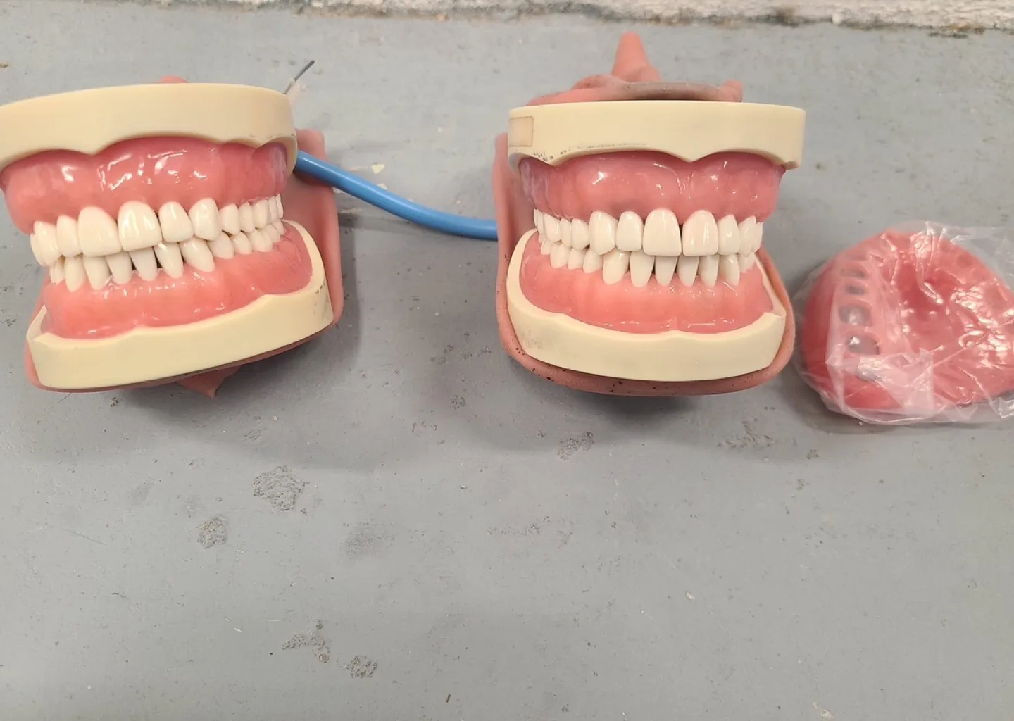 Typodont articulator image indicator(2)