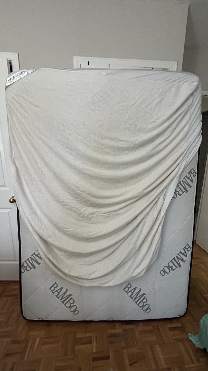 Double Size Mattress + Box Spring + mattress protector - photo 5