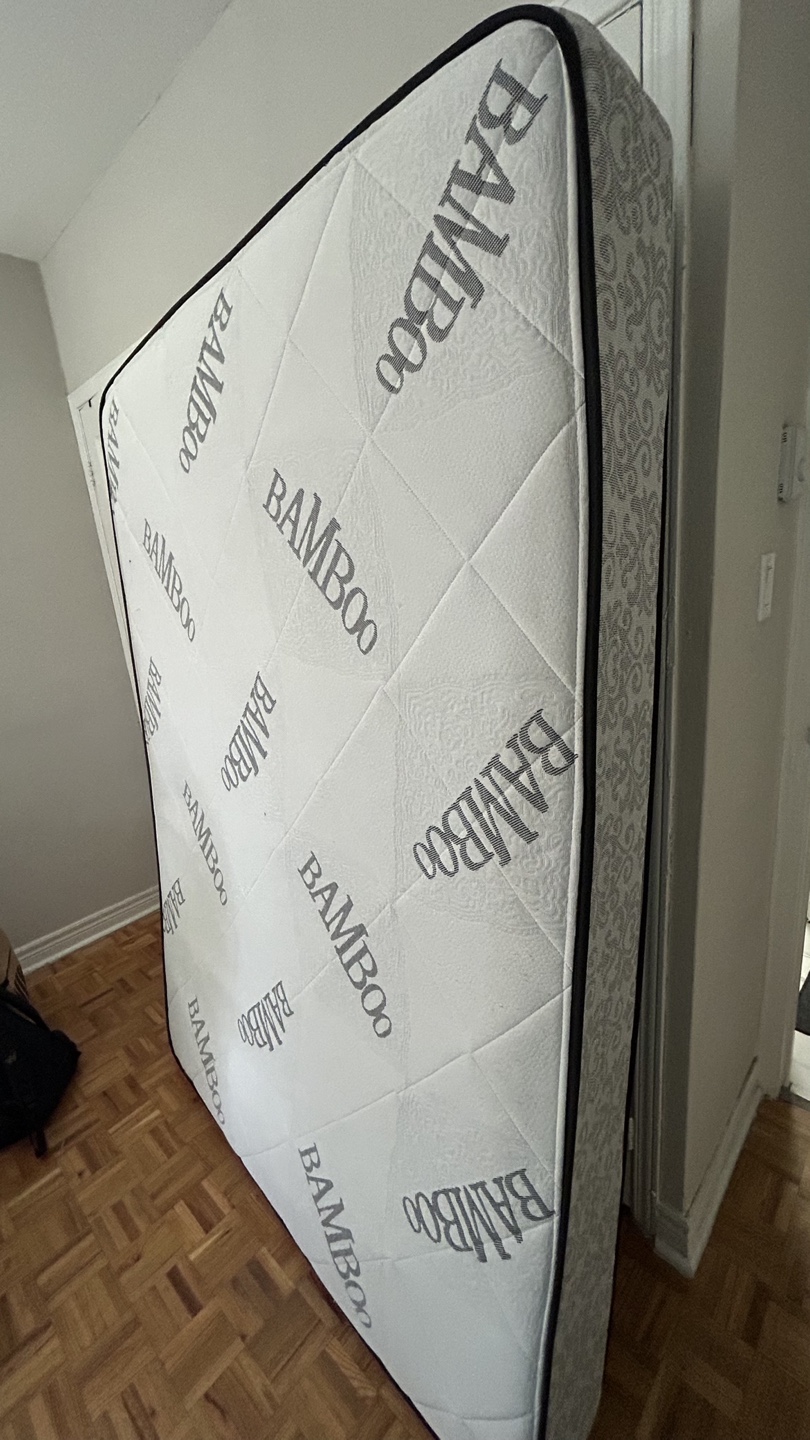 Double Size Mattress + Box Spring + mattress protector - photo 4