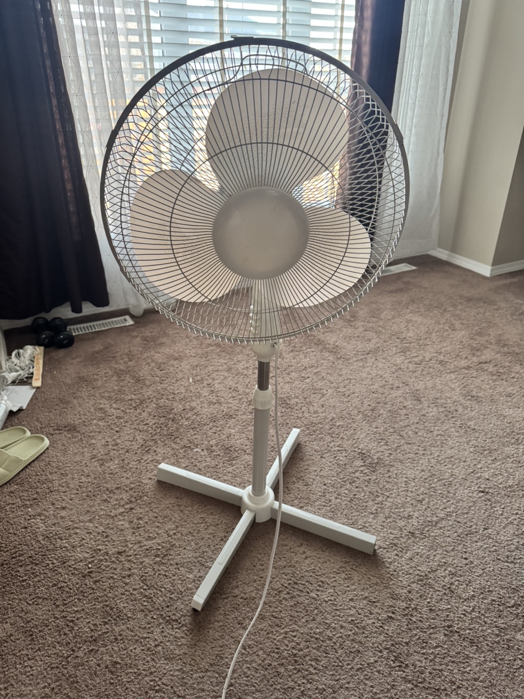 Stand Up Fan