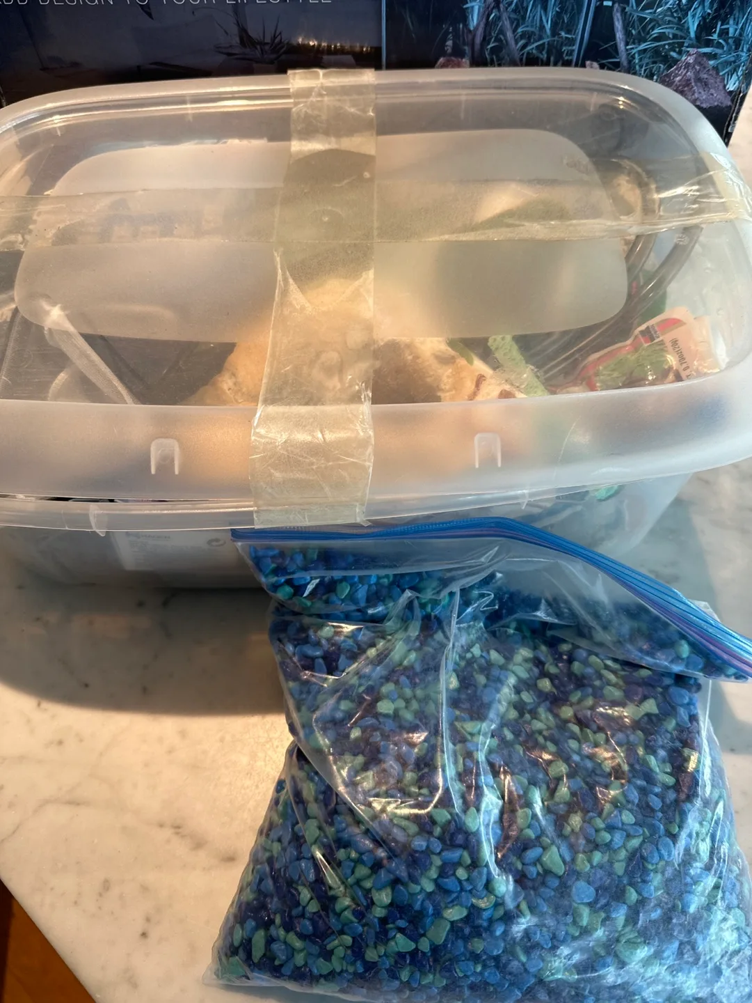 Fluval Edge Aquarium image indicator(2)