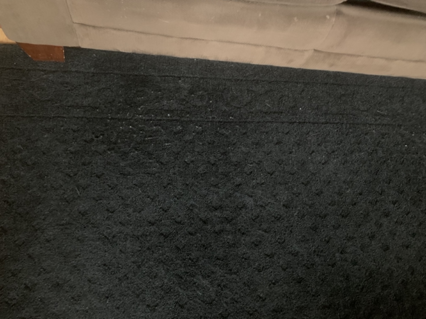 4x6 Black Rug #freecycle