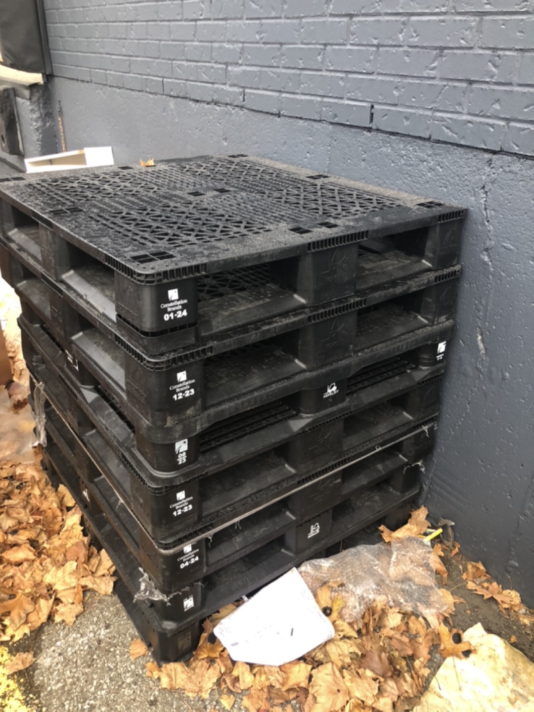 Plastic Pallets