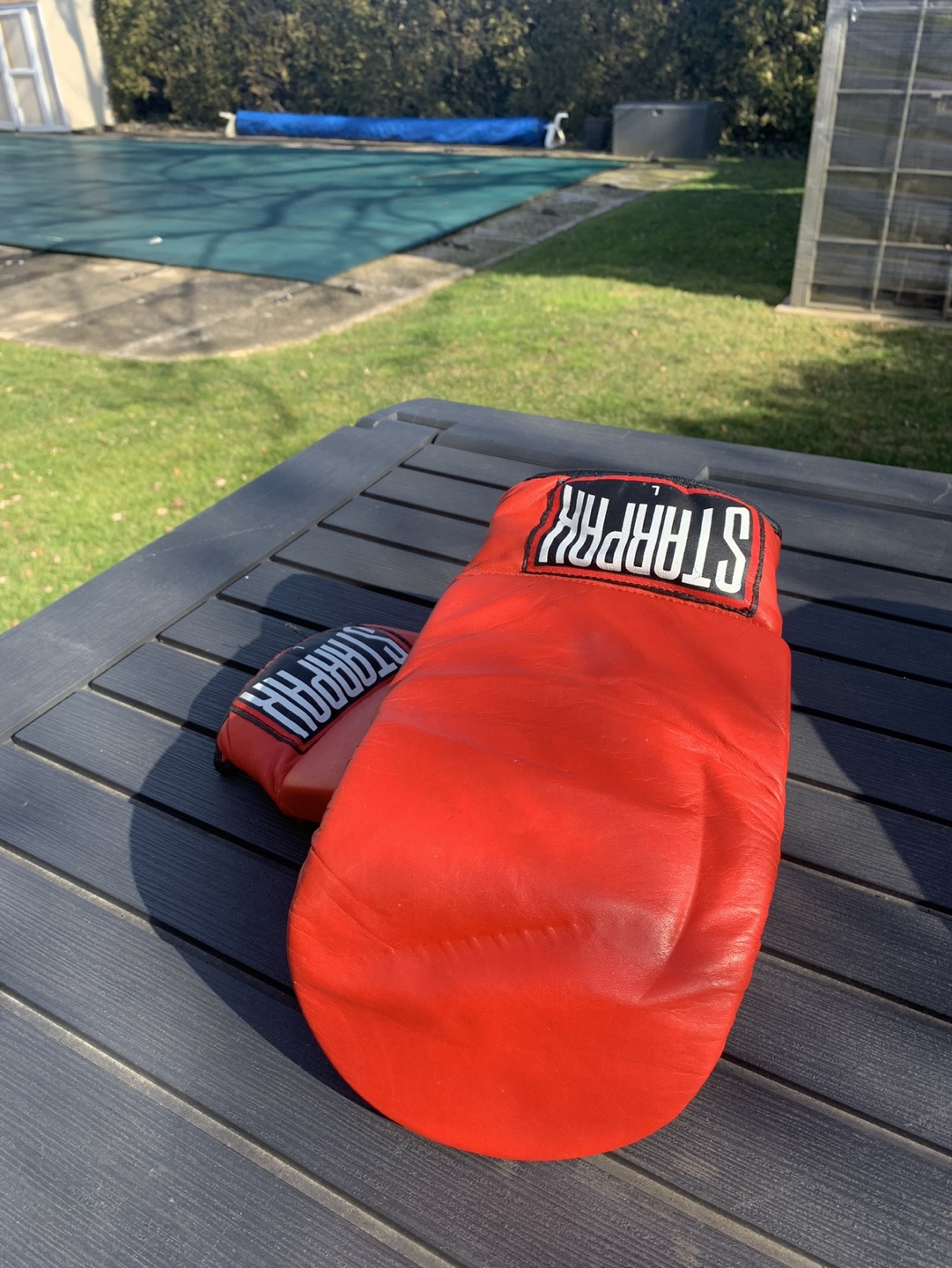 Boxing Gloves and Punching Bag Bundle