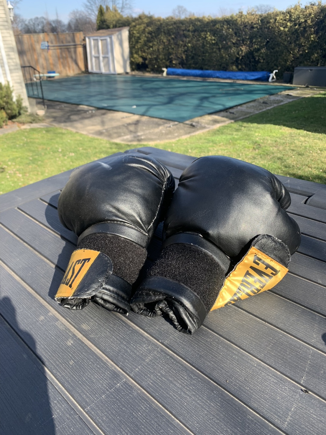 Boxing Gloves and Punching Bag Bundle - photo 4