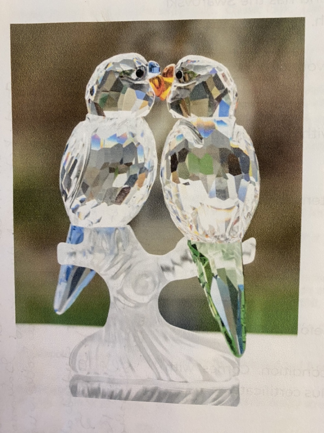 Swarovski Crystal Budgies On Branch - photo 3