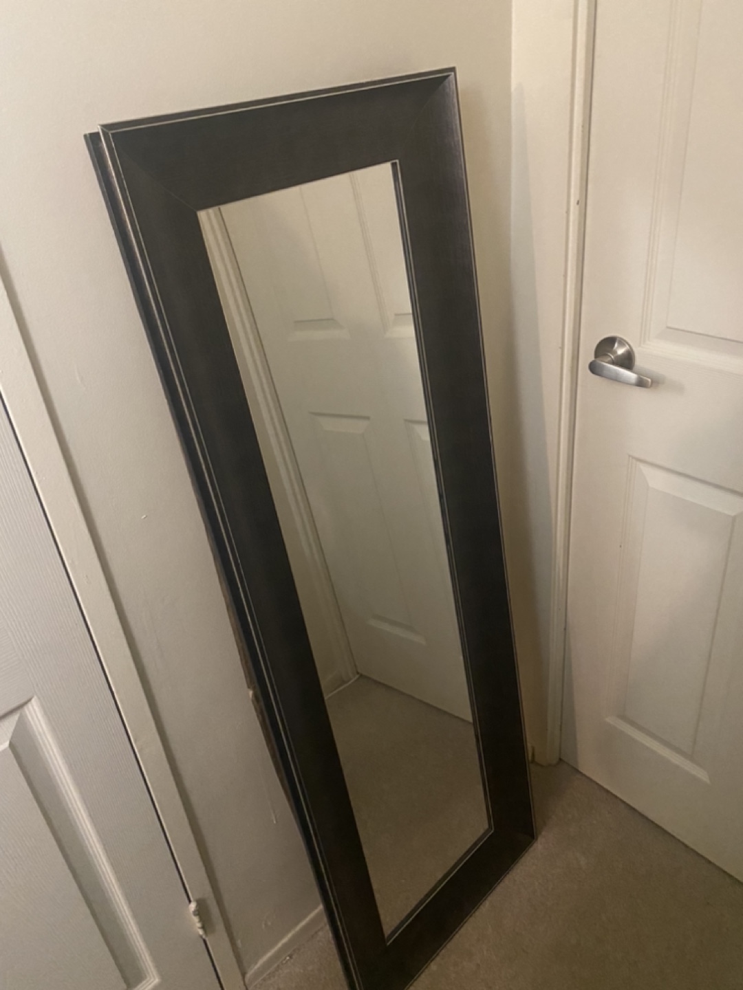Full Length Black brownish Mirror