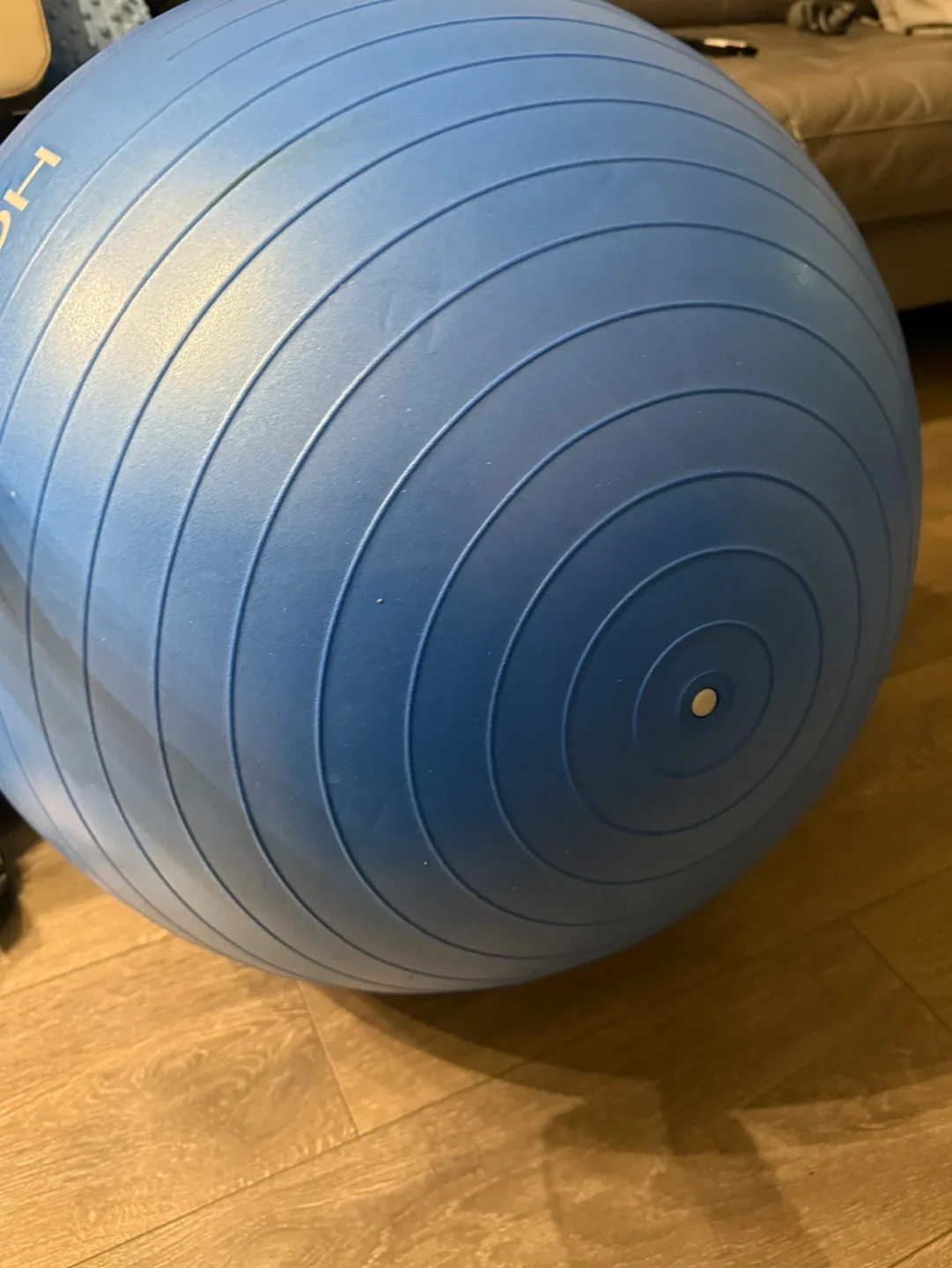 Exercise Yoga Ball image indicator(2)