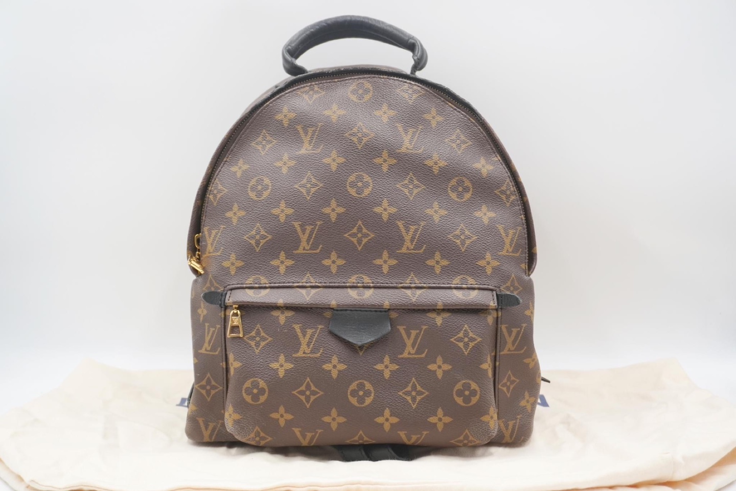 Louis Vuitton Monogram Palm Spring Backpack