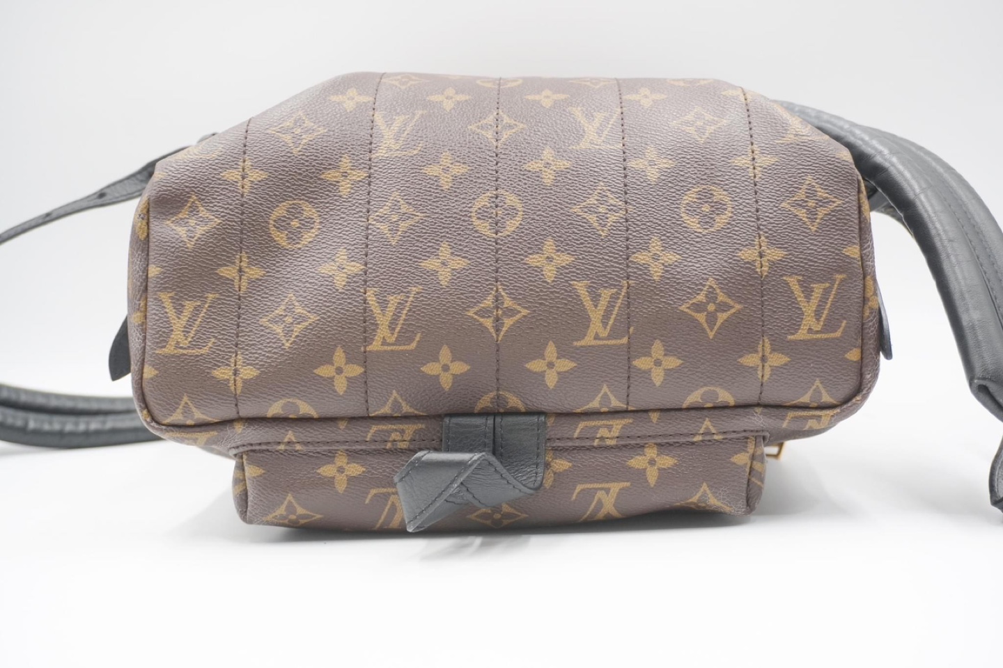 Louis Vuitton Monogram Palm Spring Backpack - photo 5