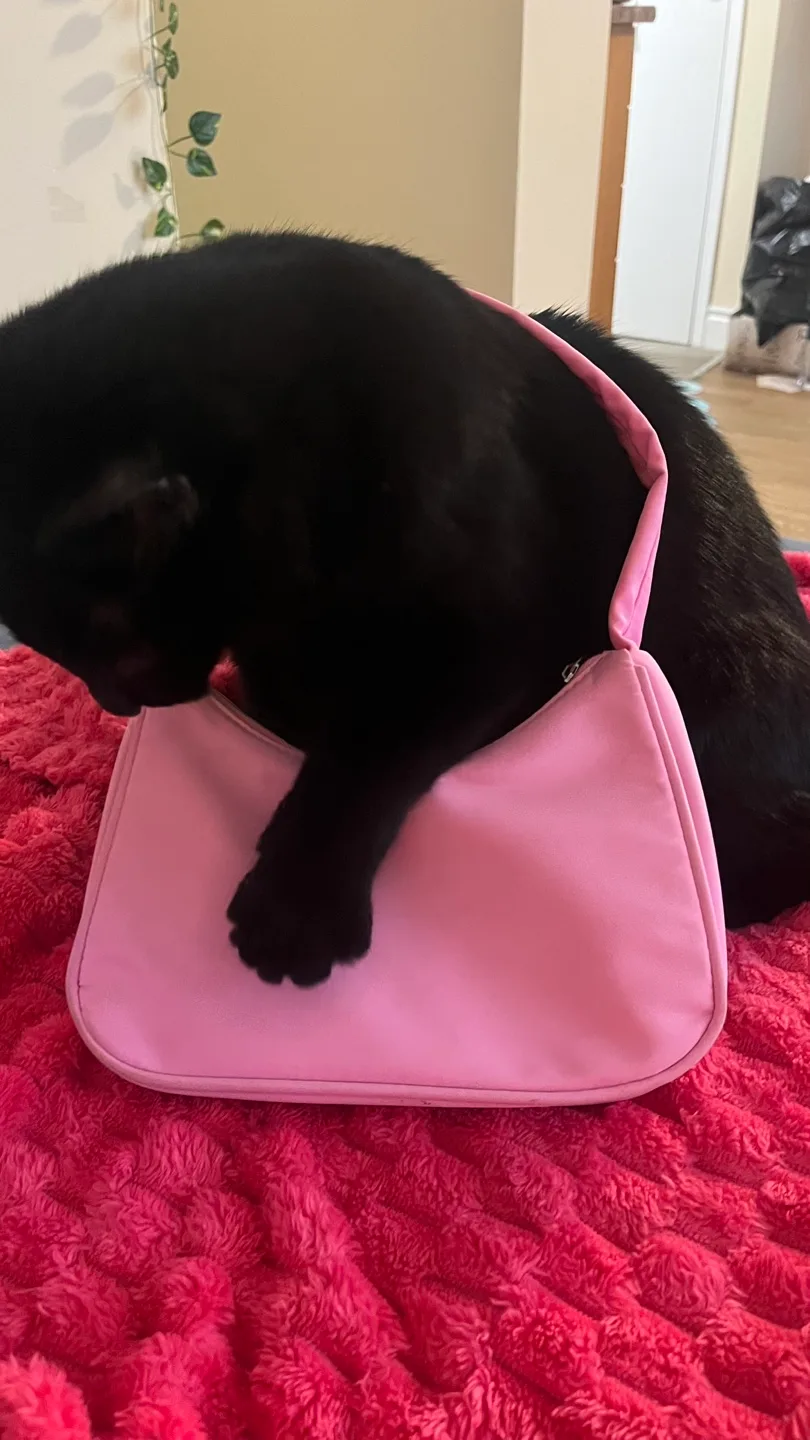 Pink Bag for Sale image indicator(4)