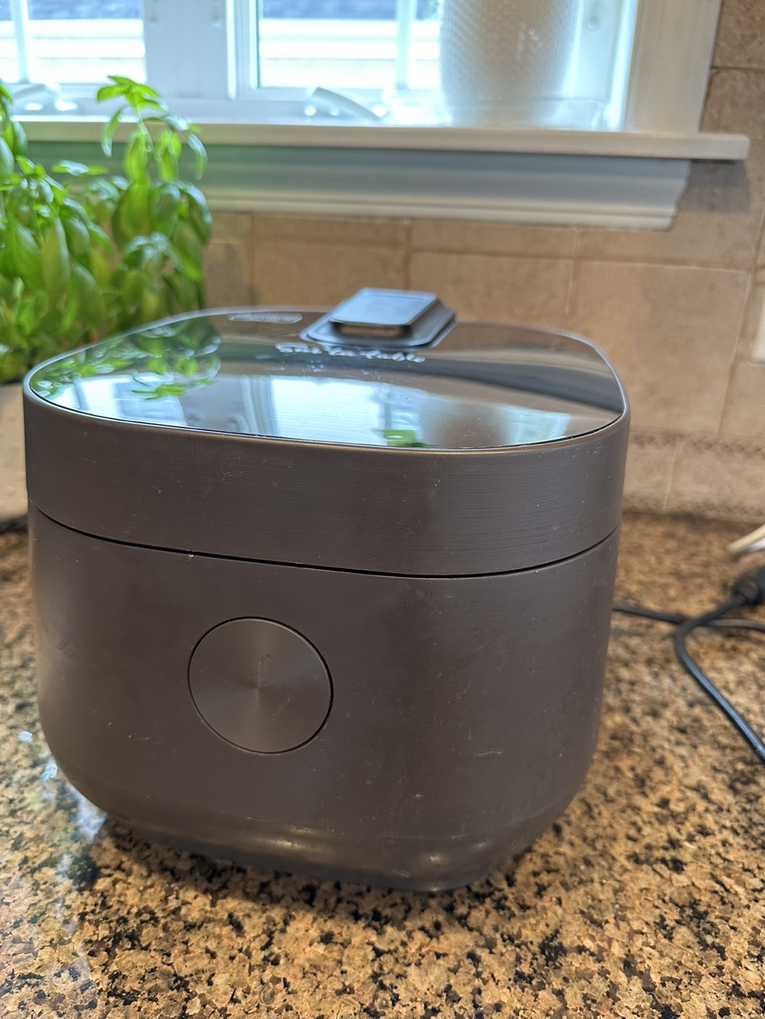Sur La Table rice cooker - photo 2