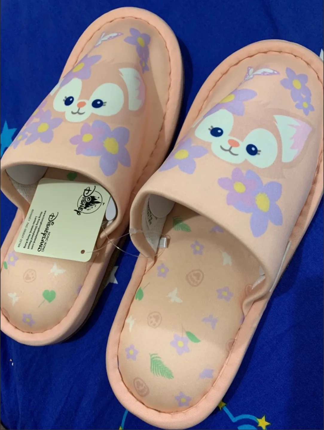Disney Duffy and Friends Slippers