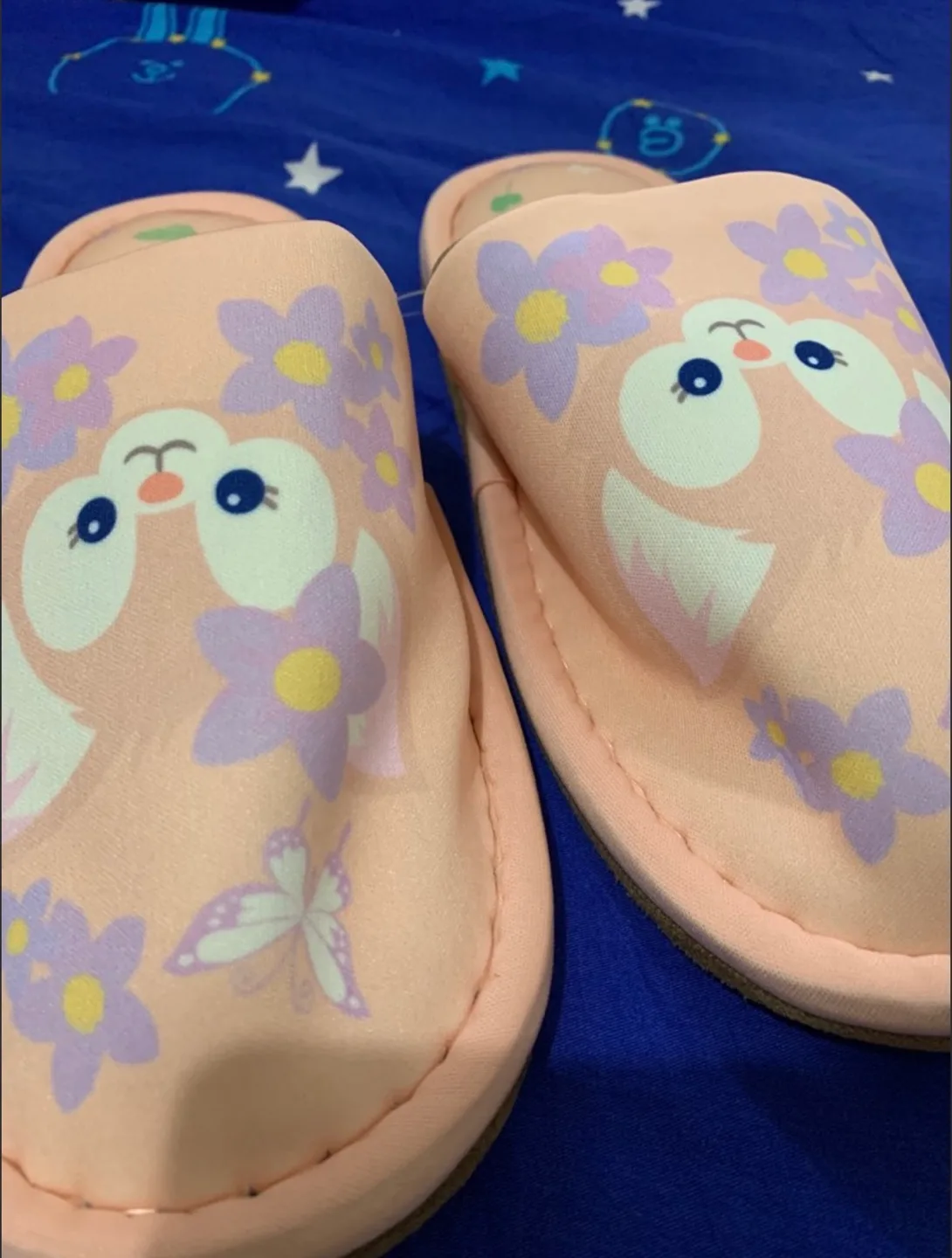 Disney Duffy and Friends Slippers image indicator(2)