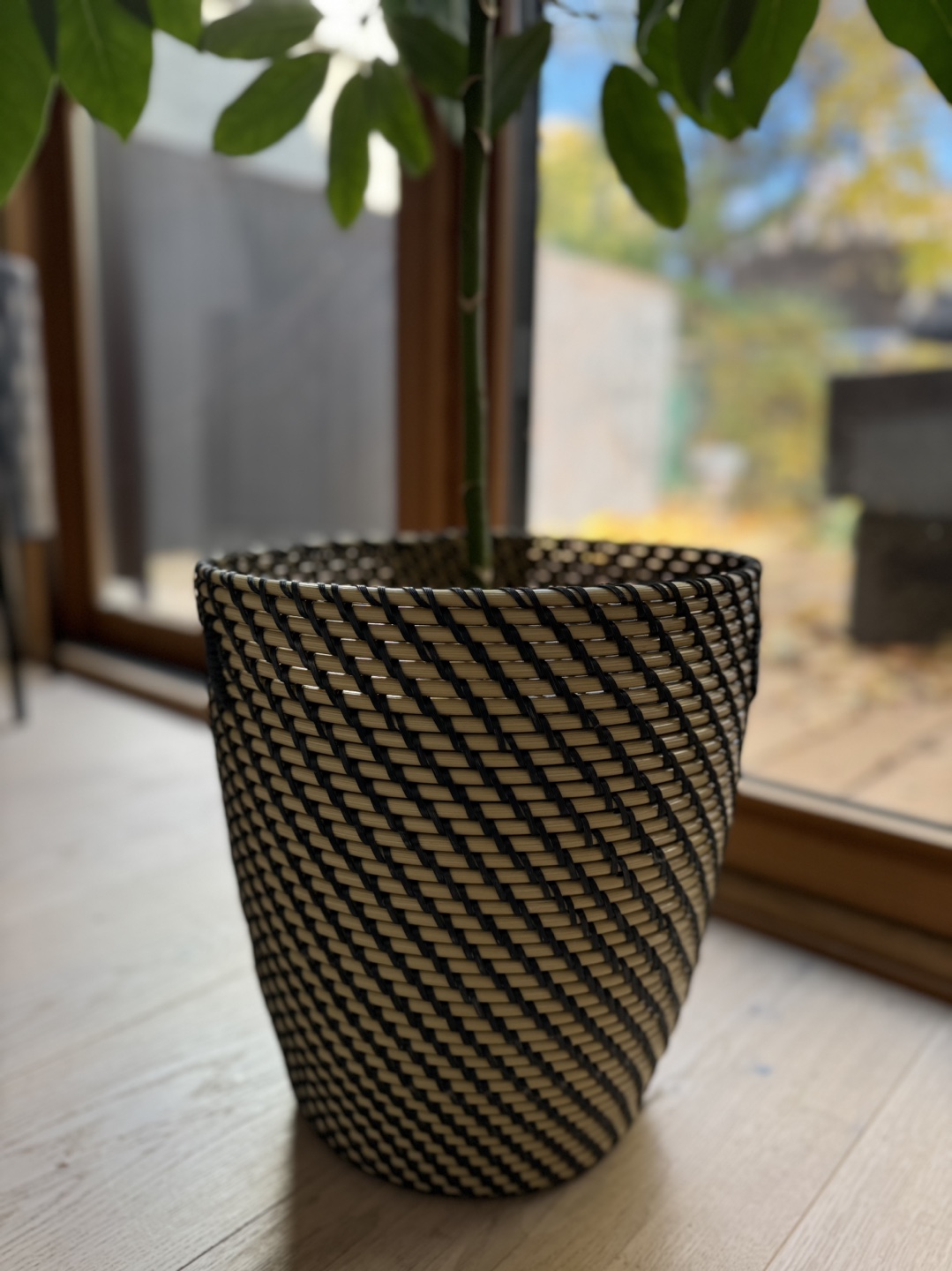 Plant with woven planter - photo 3