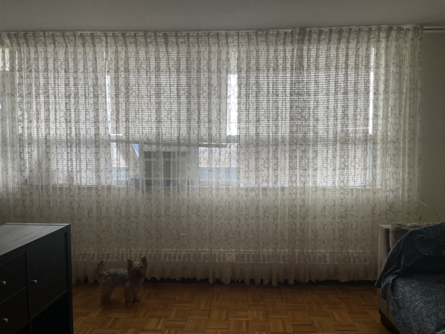 Sheer Curtains with Embroidered Design