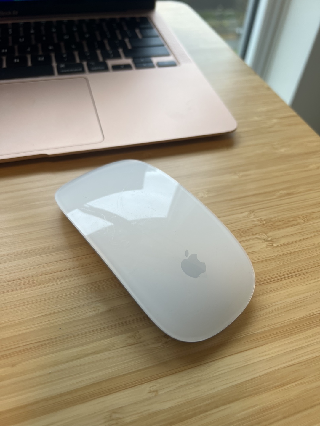 Apple Magic Mouse (2 x AA batteries)