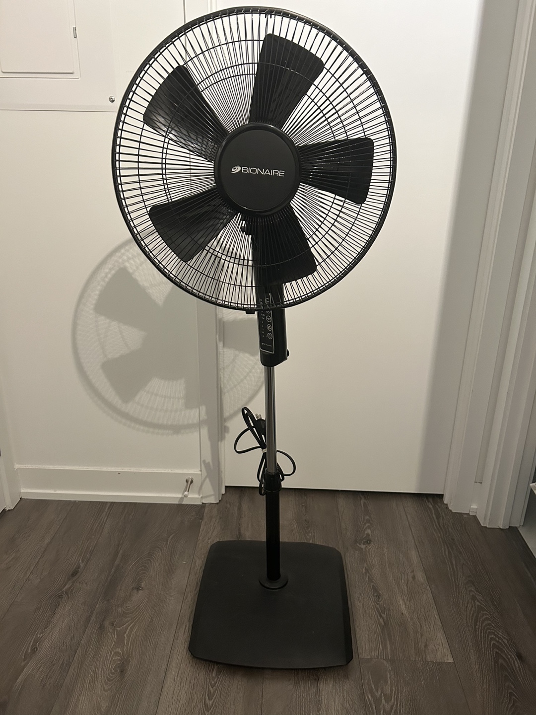 Bionaire Stand Fan | Karrot