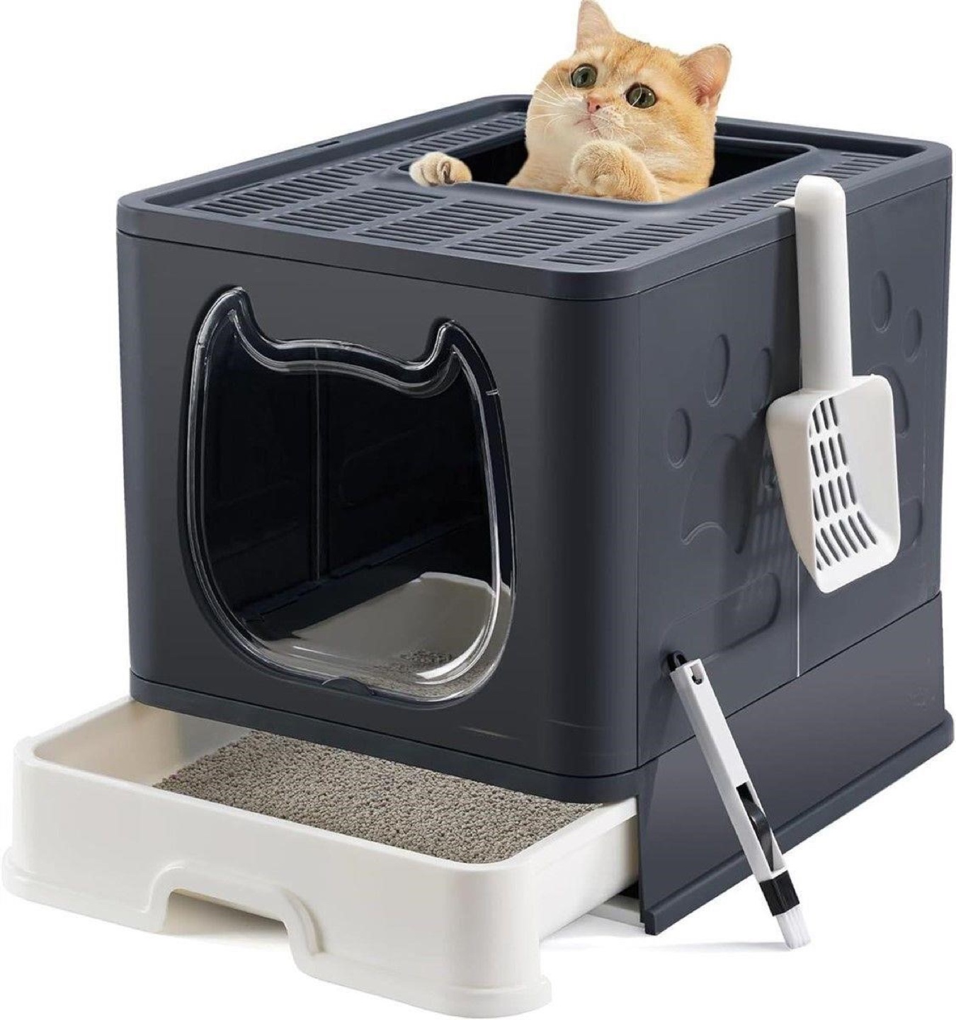 New cat litter box
