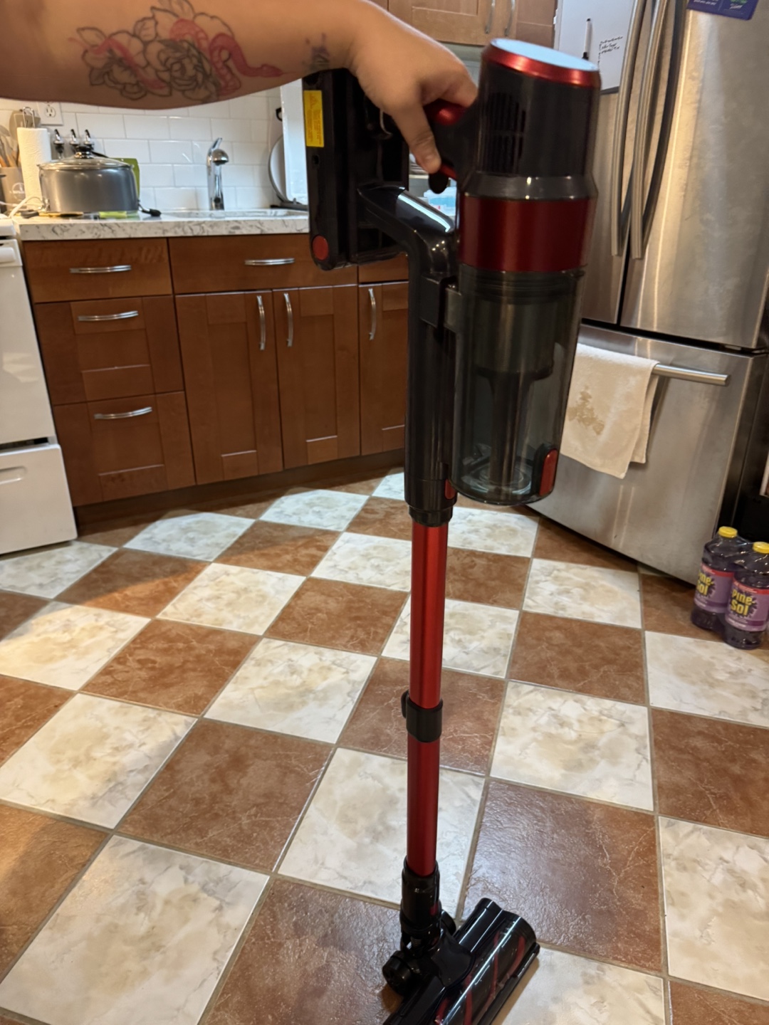 SunSare Cordless Vacuum Cleaner - photo 4