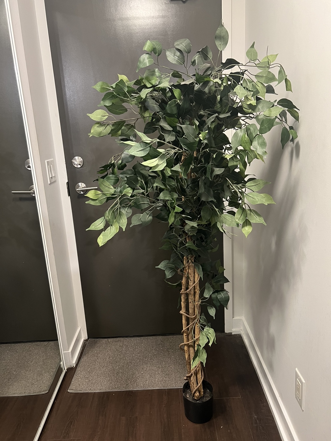 Artificial Ficus Tree