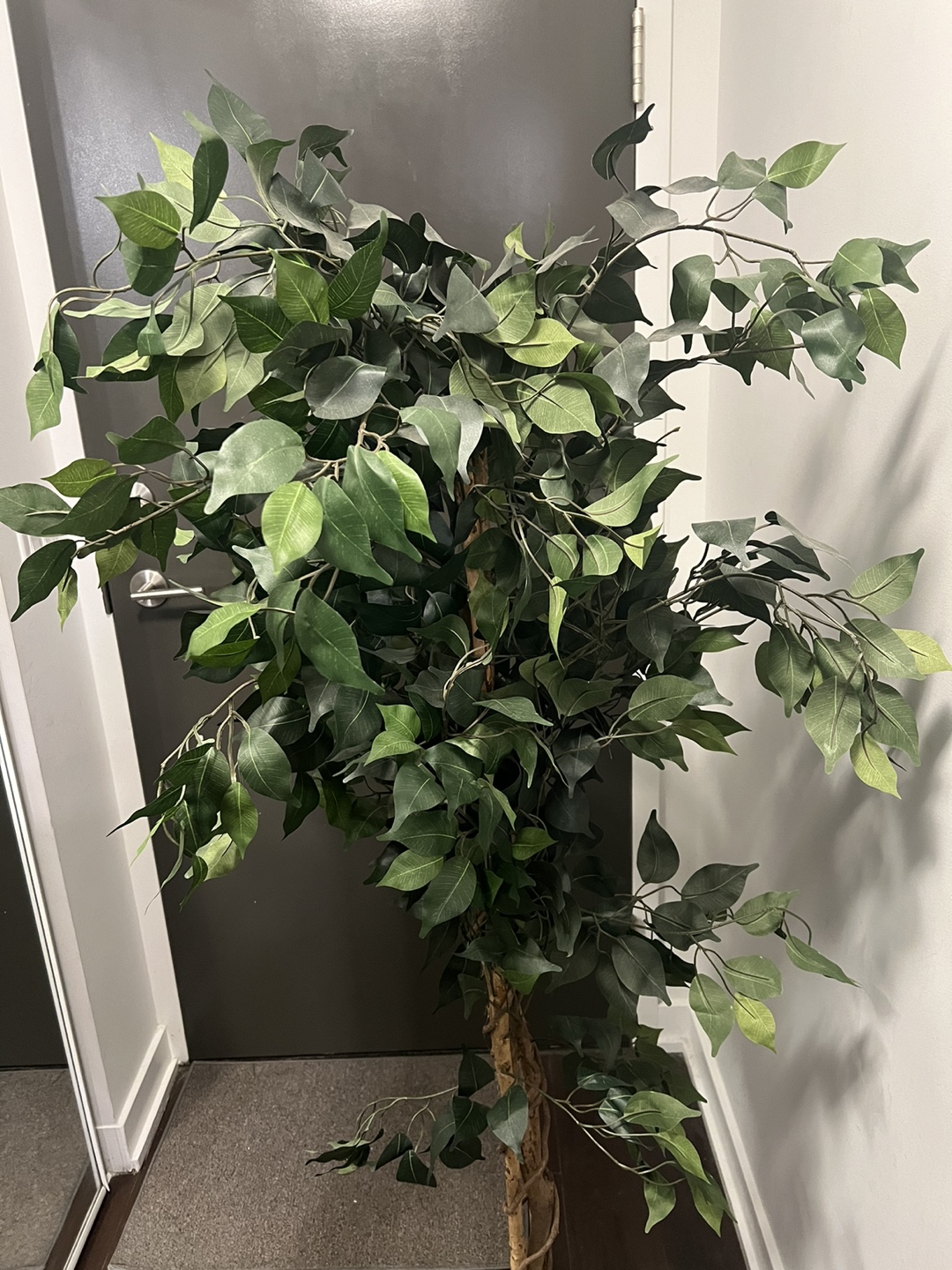 Artificial Ficus Tree - photo 2