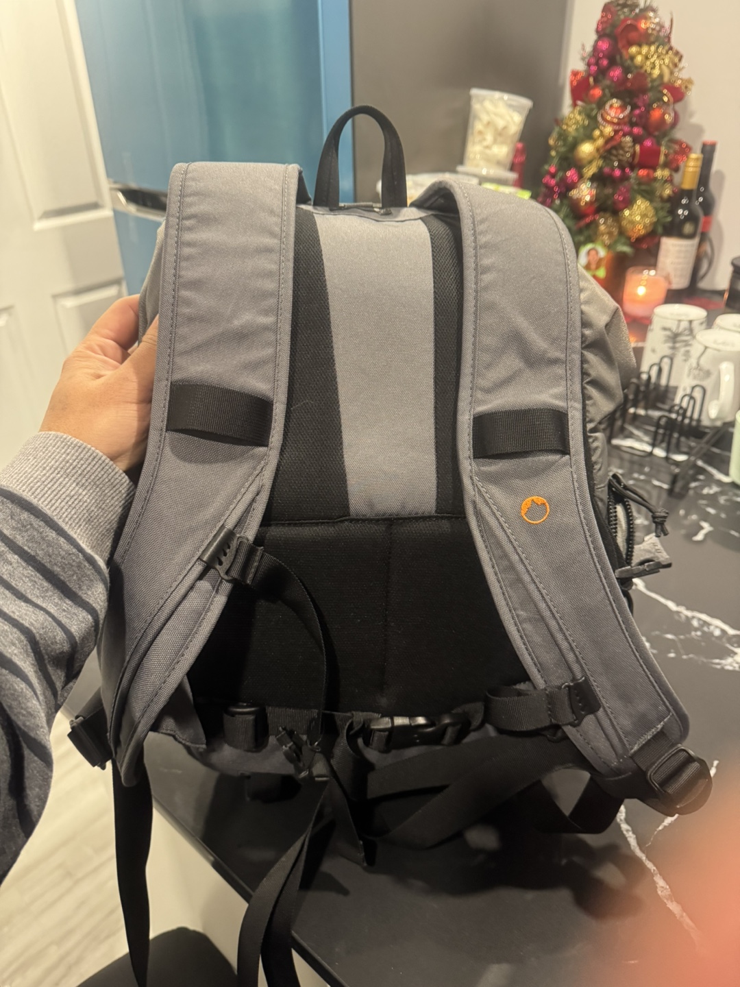 Lowepro Fastpack 200 Camera Backpack - photo 5