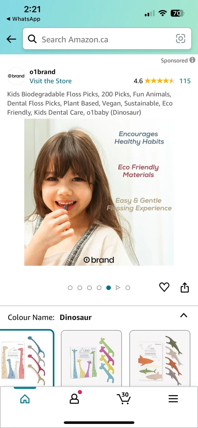 01Brand Biodegradable Floss Picks for Kids (Dinosaur) image indicator(5)