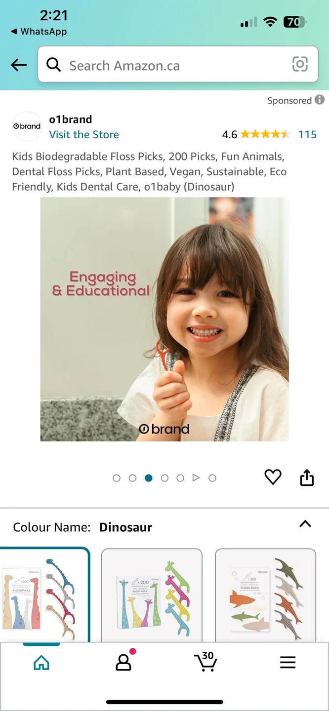 01Brand Biodegradable Floss Picks for Kids (Dinosaur) image indicator(3)