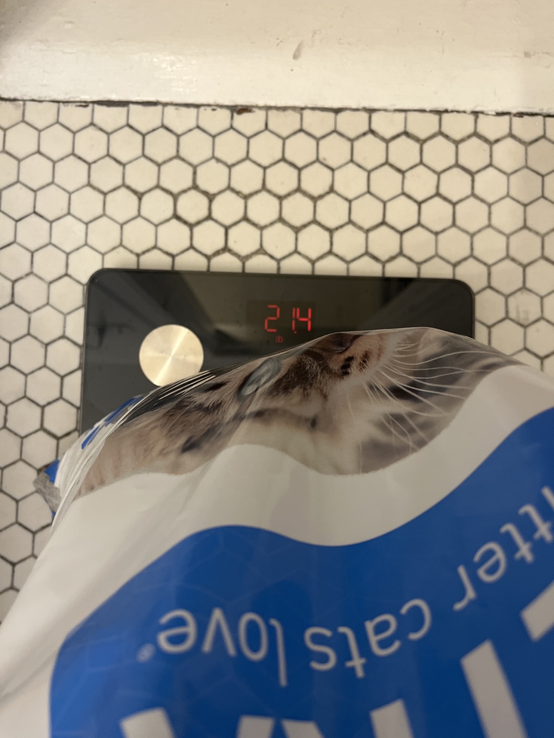 Dr. Elsey's Ultra Cat Litter - photo 3
